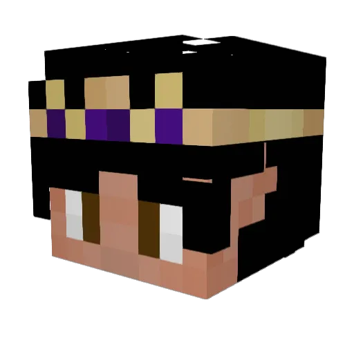 Kojo5050 Minecraft avatar head, 3D render