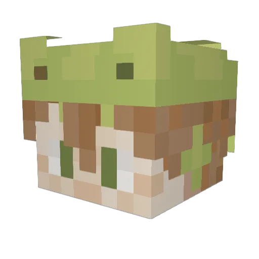Kokala1 Minecraft avatar head, 3D render