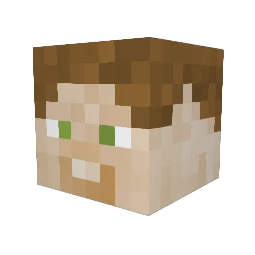 Kokiri_J01 Minecraft avatar head, 3D render
