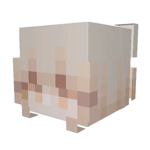 Kokiyo0 Minecraft avatar head, 3D render