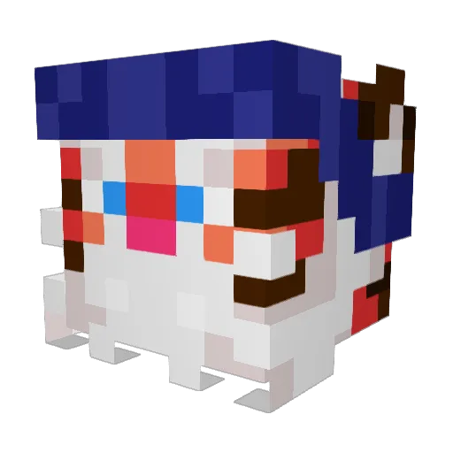 KokoBirdz Minecraft avatar head, 3D render