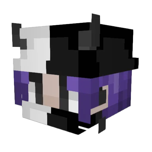 Koko_Night Minecraft avatar head, 3D render