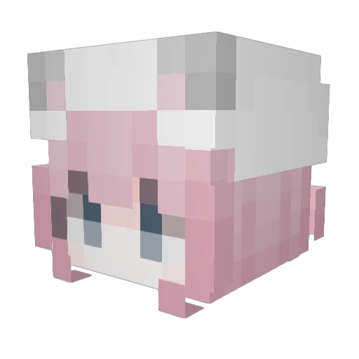 KokomiSunhi Minecraft avatar head, 3D render
