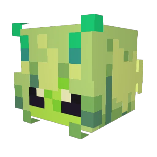 Kokopari Minecraft avatar head, 3D render