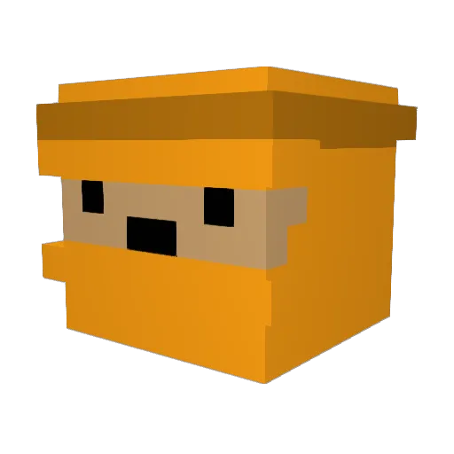 Kokot Minecraft avatar head, 3D render