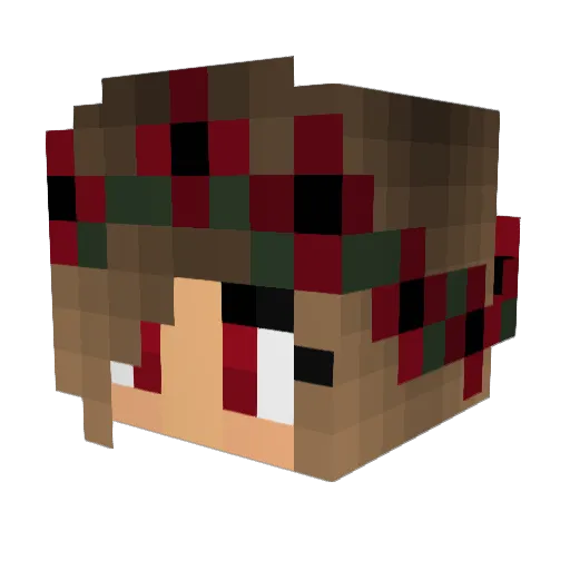 Koksi11 Minecraft avatar head, 3D render