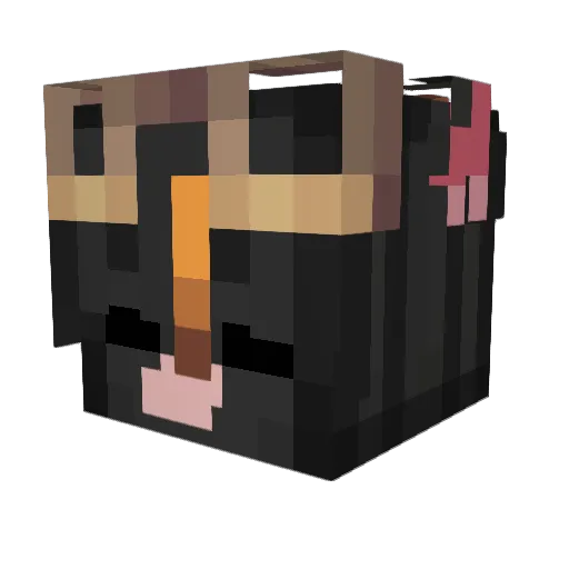 KolaBoiKit Minecraft avatar head, 3D render