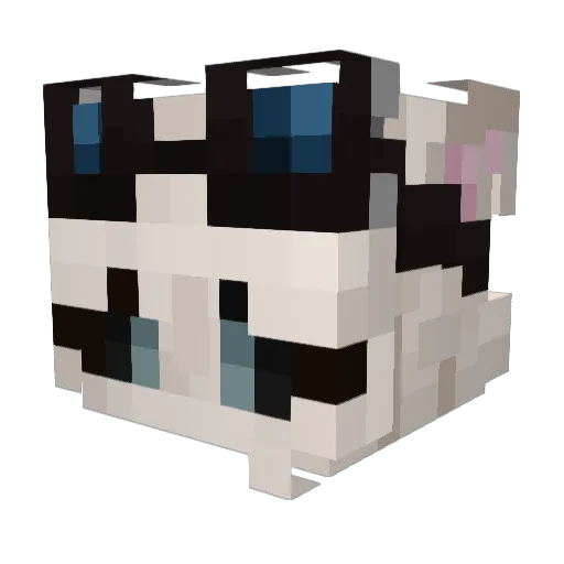 KolaS2 Minecraft avatar head, 3D render