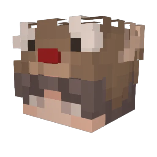 Koldhed Minecraft avatar head, 3D render