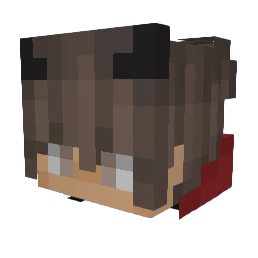 Koldunmenas699 Minecraft avatar head, 3D render
