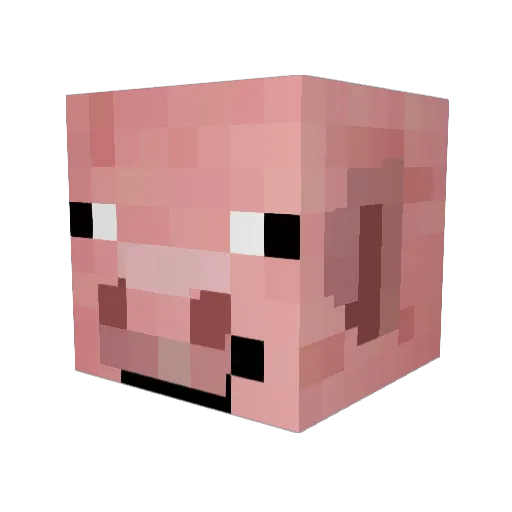Kolduu Minecraft avatar head, 3D render