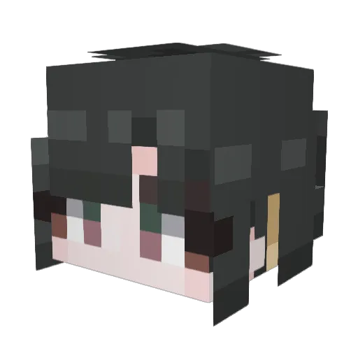 Kolkrabe_ Minecraft avatar head, 3D render