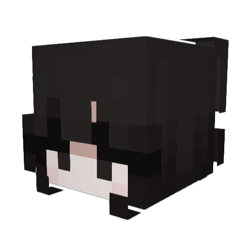 Kolo_waski Minecraft avatar head, 3D render