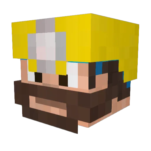 KolyaAngus Minecraft avatar head, 3D render