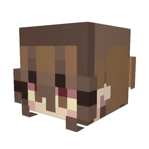 Komaelon Minecraft avatar head, 3D render