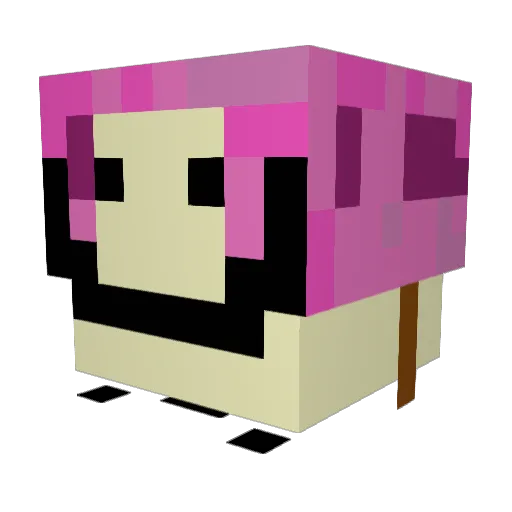 Kommpottscheiser Minecraft avatar head, 3D render