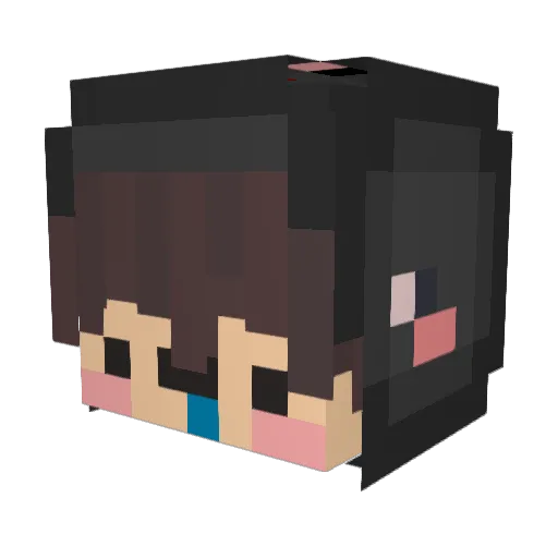 Kommunistischer Minecraft avatar head, 3D render
