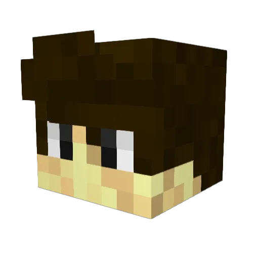 Komp3tentes_Aim Minecraft avatar head, 3D render