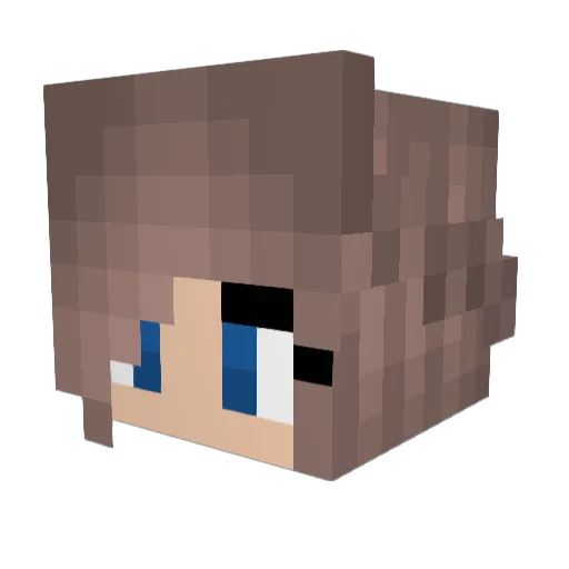 KompetenzCheck Minecraft avatar head, 3D render
