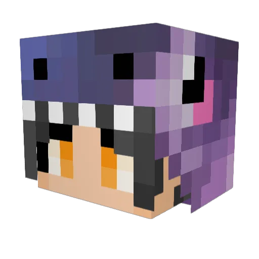 Kompetenzloser Minecraft avatar head, 3D render