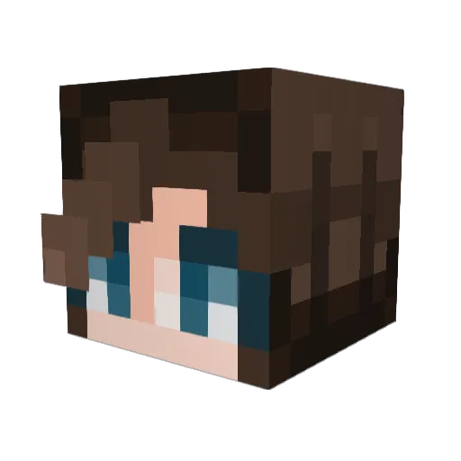 Kon_Tiki Minecraft avatar head, 3D render