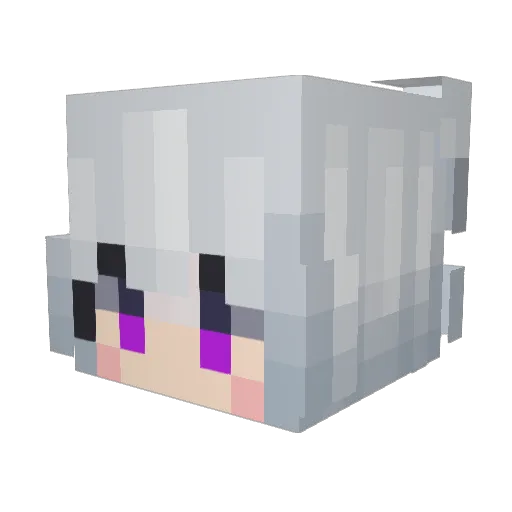 Kona721 Minecraft avatar head, 3D render