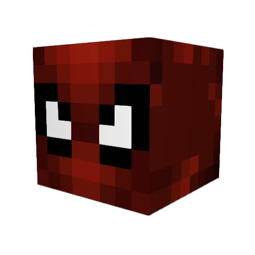 KonaCoffee14 Minecraft avatar head, 3D render