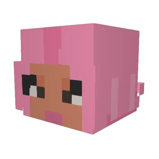 KonaTokki Minecraft avatar head, 3D render