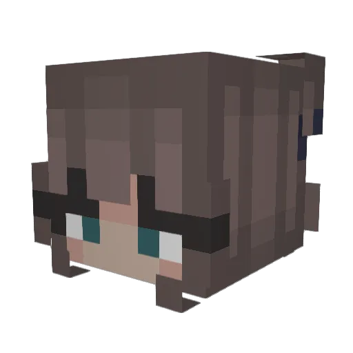 Kona_TTV Minecraft avatar head, 3D render