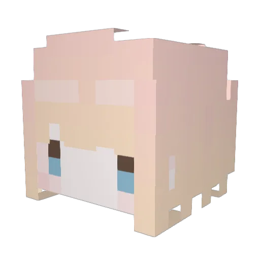 Konayukiw Minecraft avatar head, 3D render