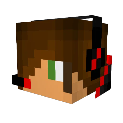 Koningtygo1207 Minecraft avatar head, 3D render