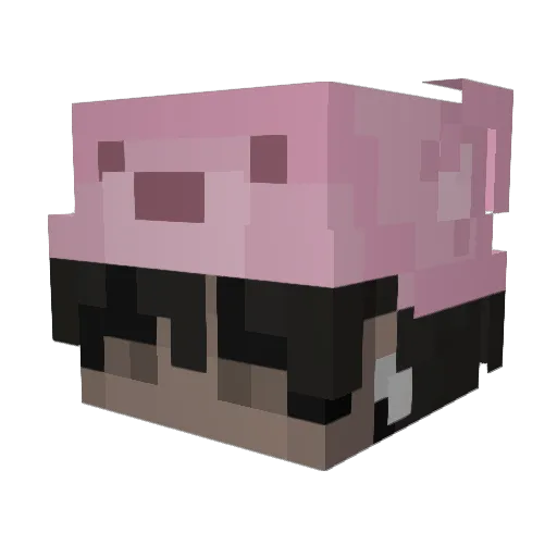 Kontje Minecraft avatar head, 3D render