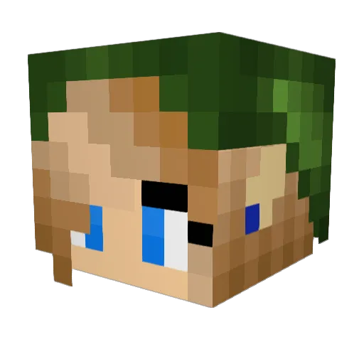 Kontrabass1 Minecraft avatar head, 3D render