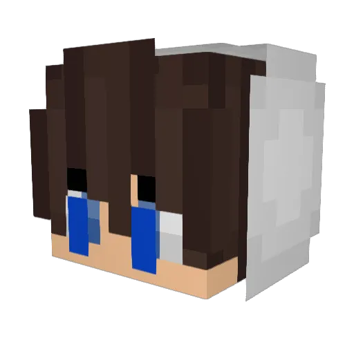 Kontraindikativ Minecraft avatar head, 3D render