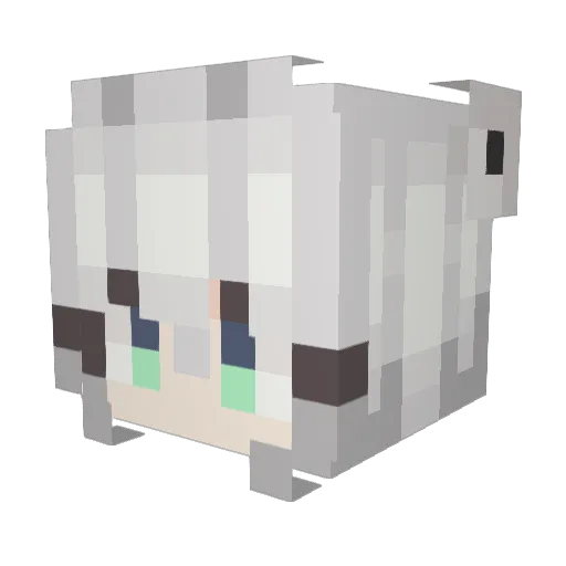Konuroe Minecraft avatar head, 3D render