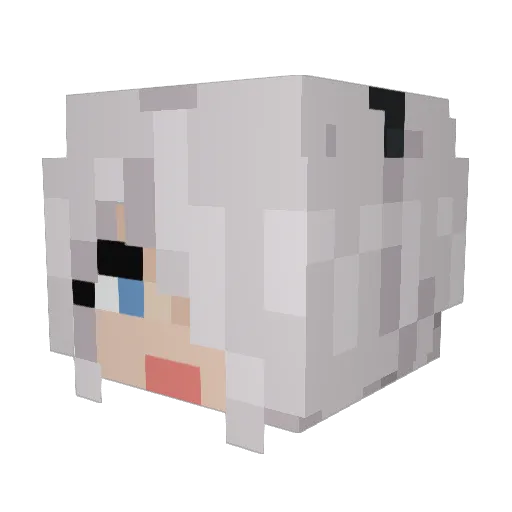 Konvull Minecraft avatar head, 3D render