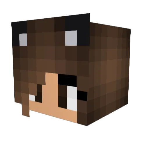 KonyPanda Minecraft avatar head, 3D render