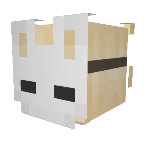 KooKoo_Girl Minecraft avatar head, 3D render