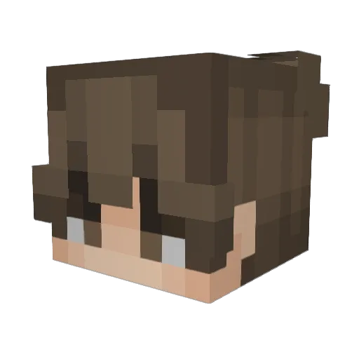 Koofie Minecraft avatar head, 3D render