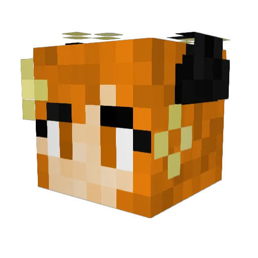 KoojKooj Minecraft avatar head, 3D render