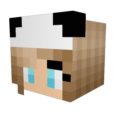Kookabear33 Minecraft avatar head, 3D render