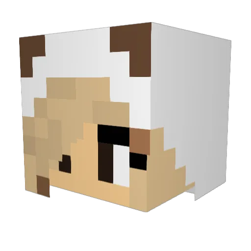 Kookawa Minecraft avatar head, 3D render