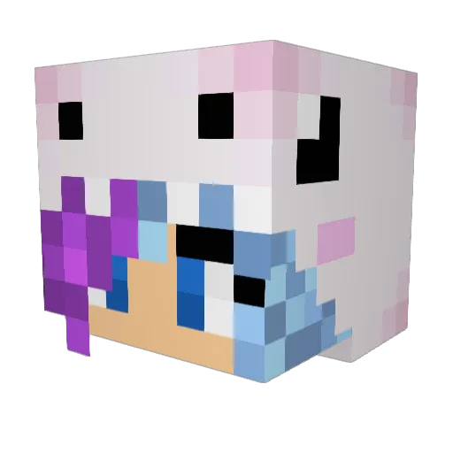 Kookie35 Minecraft avatar head, 3D render