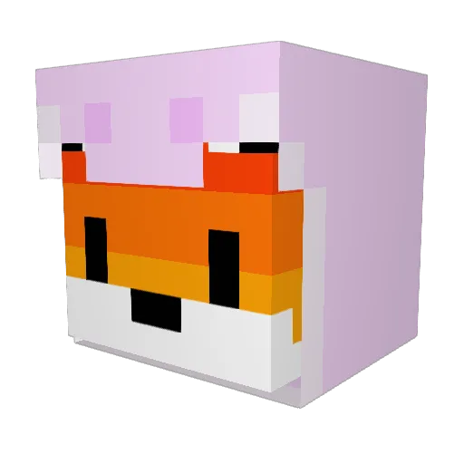 KookieCitty Minecraft avatar head, 3D render