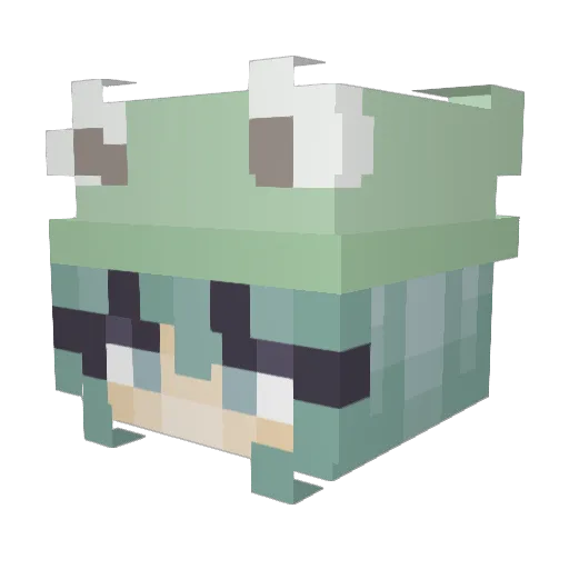 Kookie_LT Minecraft avatar head, 3D render