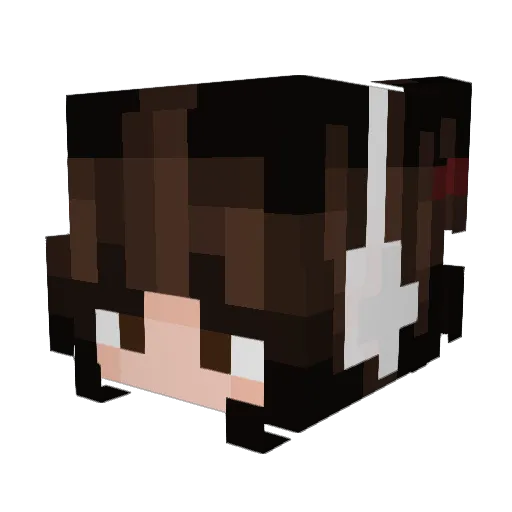 Kookiebun Minecraft avatar head, 3D render