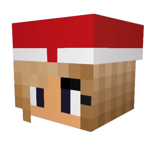 Kookiekat101 Minecraft avatar head, 3D render