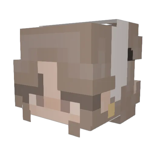 Kooksiiz Minecraft avatar head, 3D render
