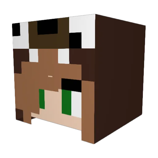 KookyWookie Minecraft avatar head, 3D render