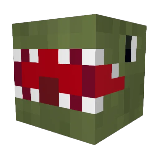 KoolAidMan507 Minecraft avatar head, 3D render